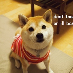 Tumblr mnc4j7cbo11sn8quro2 500