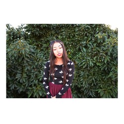 1381233 4888731755544 711238005 n