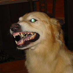 Tumblr mpwsv6pcay1rtgf8vo1 500