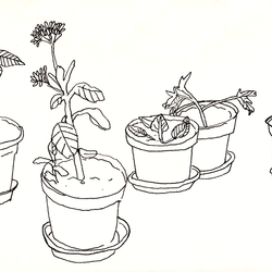 Tumblr mz1i1yawhw1sswnw0o1 1280