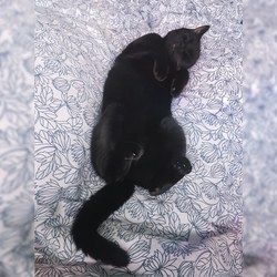 Img 20190417 185150 778