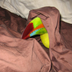 Tumblr nmq0wpflnk1rl90dho1 500