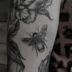 Tumblr msidrtrvcz1r0gie9o1 500