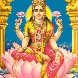 818lakshmi