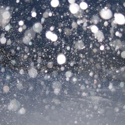 Snow 2