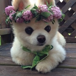 Tumblr mprafxszsl1qdb3ggo1 400