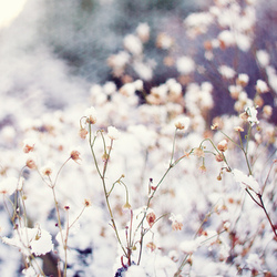 Tumblr mgg65f9m1i1qzehsgo1 500