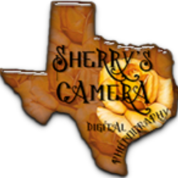 Sc smalllogo 72dpi 200x195