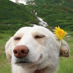 Tumblr inline mp8d0lvayo1qz4rgp