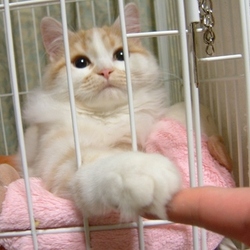 Tumblr moujlj0tuq1suqkl8o1 500