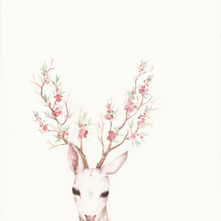 Tumblr mqp87nk0511rs8w78o1 500