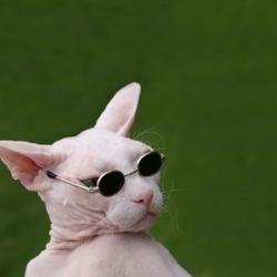 Tumblr nrc0axzl301qi6ssqo1 500