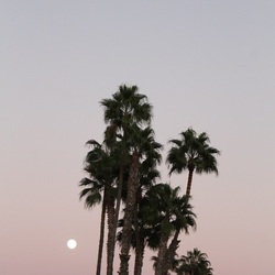 Tumblr mcmu6tvemc1rtrbjso1 500