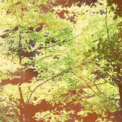 Wallpaper 106043