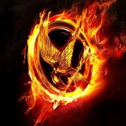 Mockingjay  3 the girl on fire