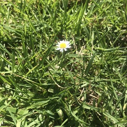 2478d634 c2ca 459d 9fcf 0bad8409eae0