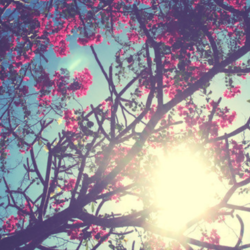 Screenshot 2013 03 31 17 11 49 1