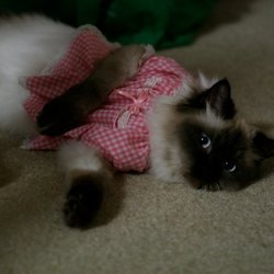 163485 10150099847823921 641598920 6030877 3725914 n