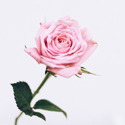 Hd 35fa7c83e694542fbc396183634ea4d7