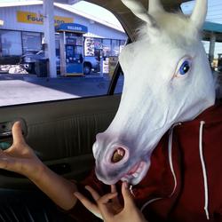 Picture1016131819 1 (1)