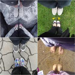 Mooney's bay fotor collage