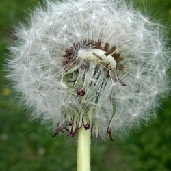 2013 05 14 15 29 54 477