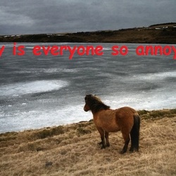 Tumblr mcdhvi2ayu1rxwjfno1 500