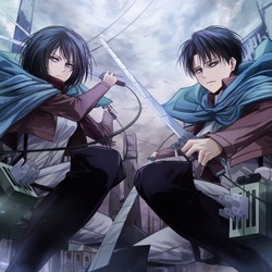 Levi mikasa