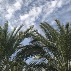 B47bafef 66c7 4051 a8b6 9b02113acaf3