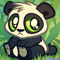 Panda backround