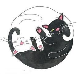 Tumblr mlbrjmzdpv1rvvm96o1 400