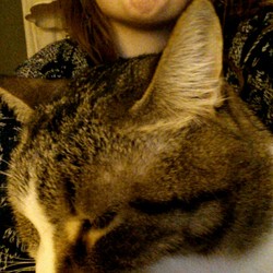 Tumblr nglrphp18c1rsg62lo1 1280