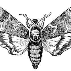 Tumblr mqcl5hyv7r1rppdkeo1 1280