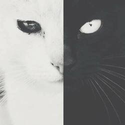 10422297 1445522789073771 1150558612948748166 n