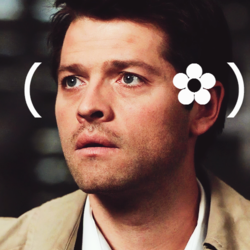 Tumblr static castiel flower