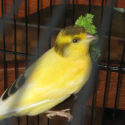 39145 1378752832782 3751582 n