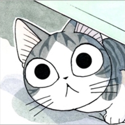 Startled cat
