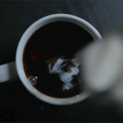 Tumblr n7dgj0lpcr1rxgatwo1 500