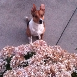 Screen shot 2013 09 08 at 9.57.32 pm