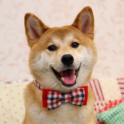 Tumblr m8o60xgawd1rvpw36o1 500