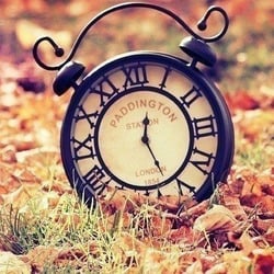 9o35c58s2rj0rmhqzp2rcgm18zdwiykc large