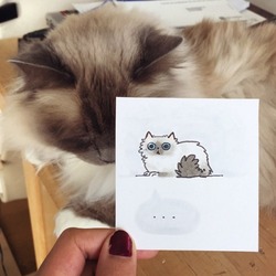 Tumblr nj3beafxf61qikjcio1 540