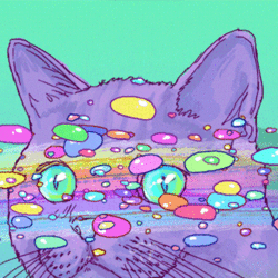 Tumblr static tumblr static filename 640