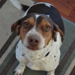 Echo is adorable 2011 or 12