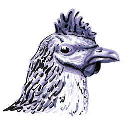 Zach mason wm01 400x400