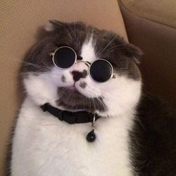 D3bda0e61d86c8a3d8370235907af0ad