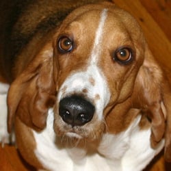 Sallyface newprofilepics