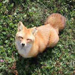 Tumblr n3deiqtoul1twago3o1 500