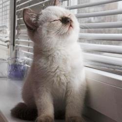 9498 10151429854063273 690559286 n