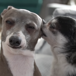 Tumblr pltsh0sh3b1rlbcu6 540